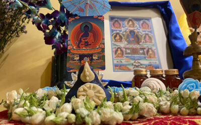 Medicine Buddha Empowerment and Retreat